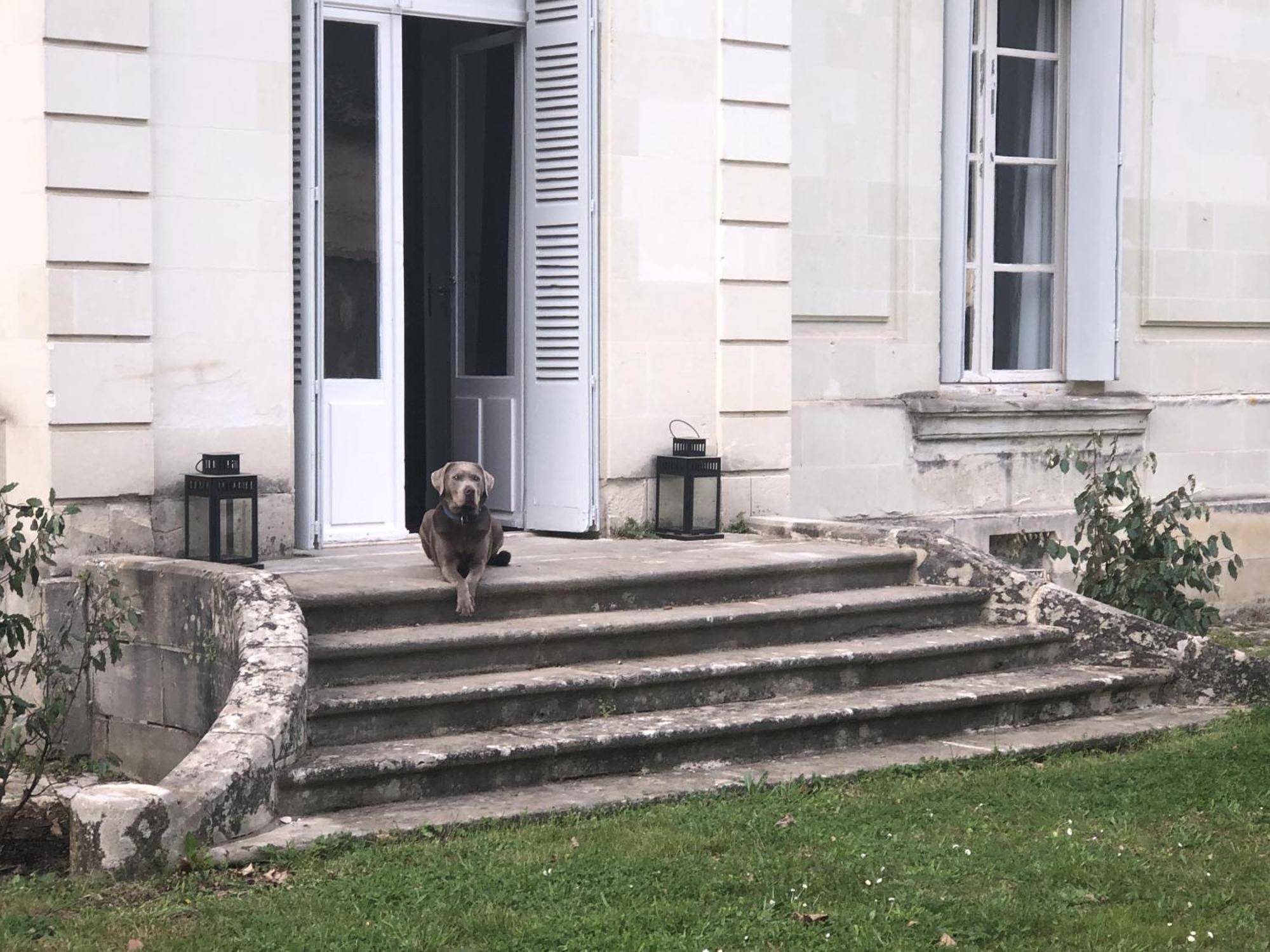 La Grande Carree Bed & Breakfast Saint-Cyr-sur-Loire Exterior photo