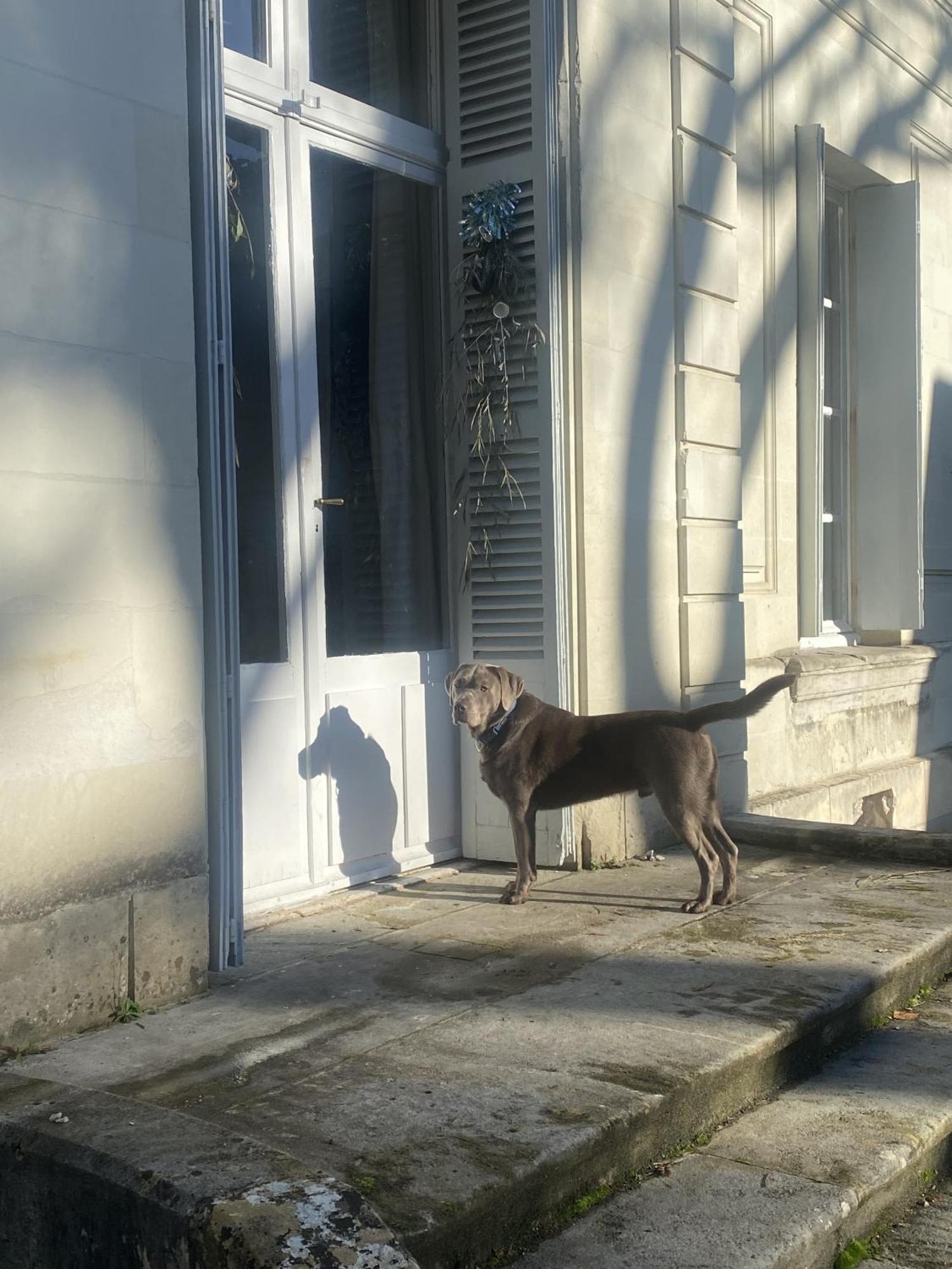 La Grande Carree Bed & Breakfast Saint-Cyr-sur-Loire Exterior photo
